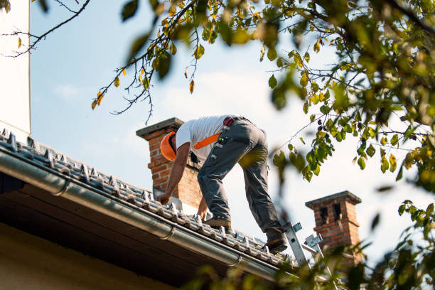 Best Gutter Installation and Roofing  in New London, WI