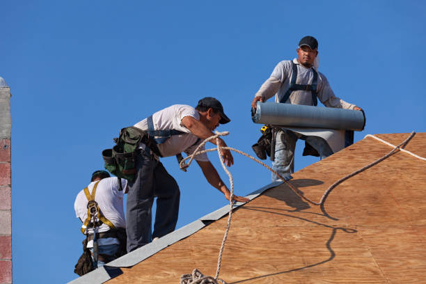 Best Roof Restoration Services  in New London, WI