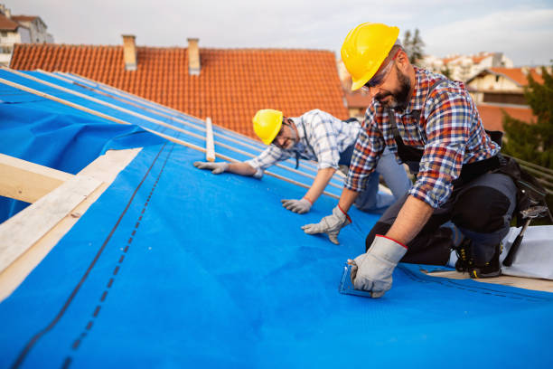 Best New Roof Installation  in New London, WI