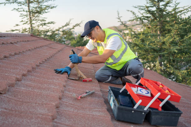 Best Residential Roof Replacement  in New London, WI
