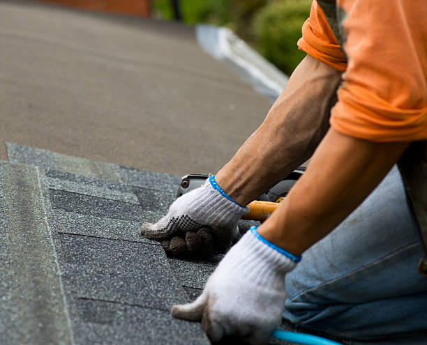 Best Metal Roofing Contractor  in New London, WI